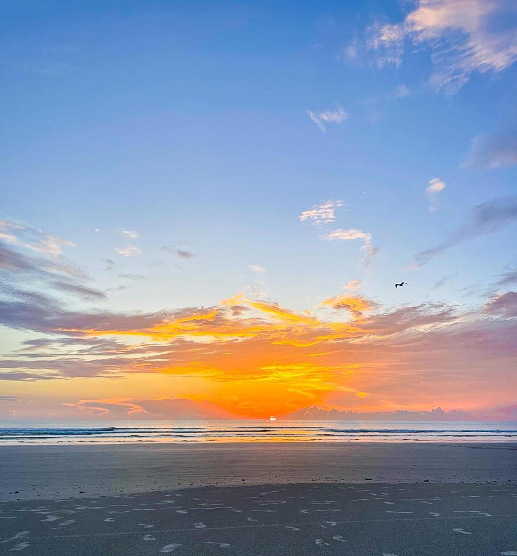 Oceanwalk 1-401 Villa New Smyrna Beach Buitenkant foto